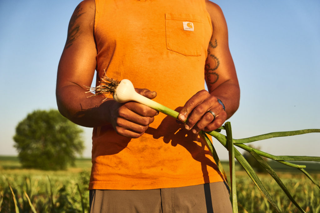 Garden Oasis Farm Connects People with their Health Through Good Food