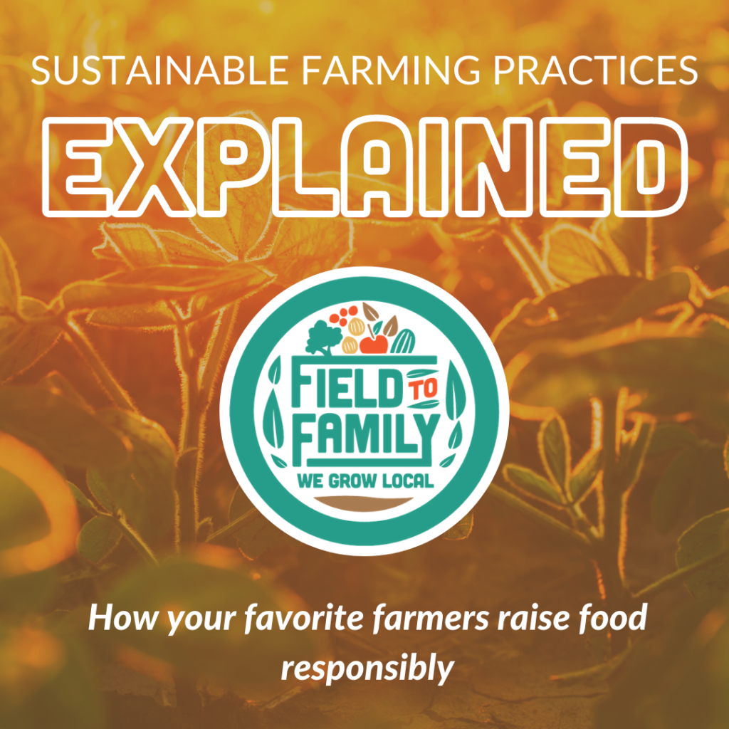 Sustainable Farming Practices Explained