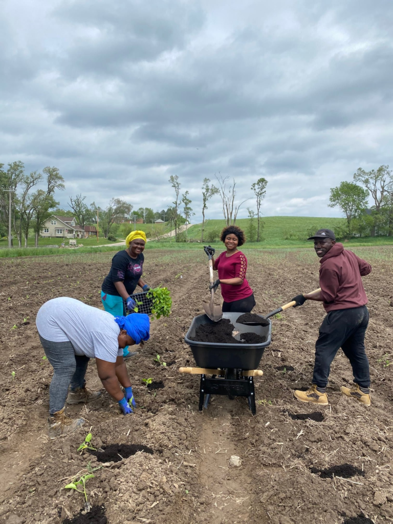 Nupolu Emerging Farms